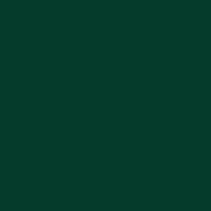 Fir Green RAL6009