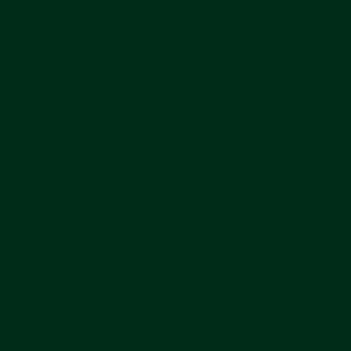 Moss Green RAL6005